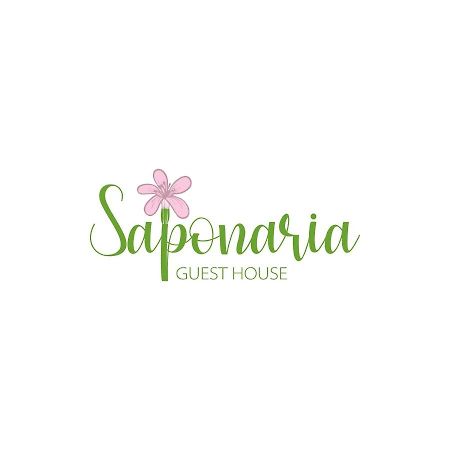Saponaria Casa Al Mare Lägenhet CTA Exteriör bild