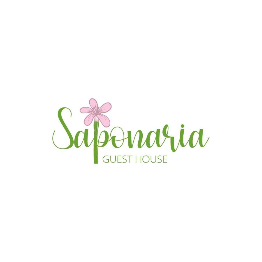 Saponaria Casa Al Mare Lägenhet CTA Exteriör bild